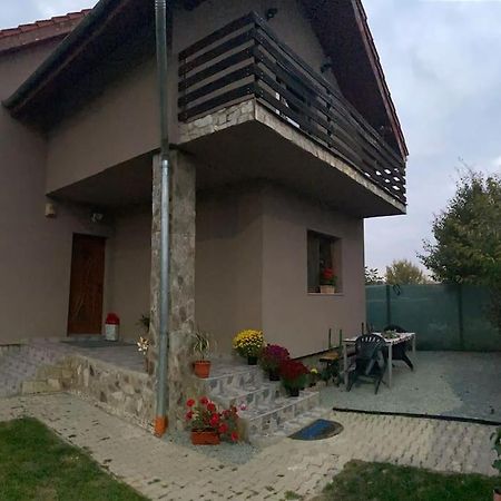 Vila Primitoare In Apropiere De Aeroport Ghiroda Exterior foto